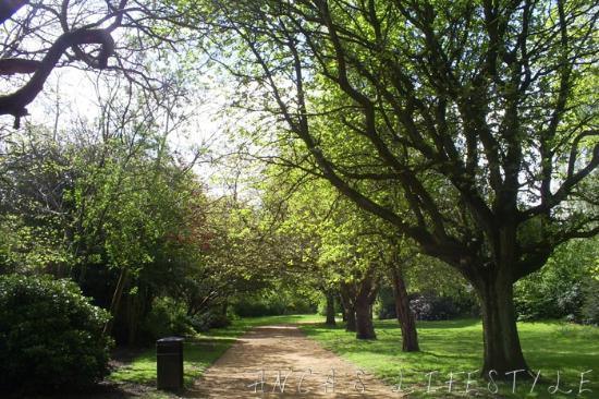 Jardins botaniques de Wavertree